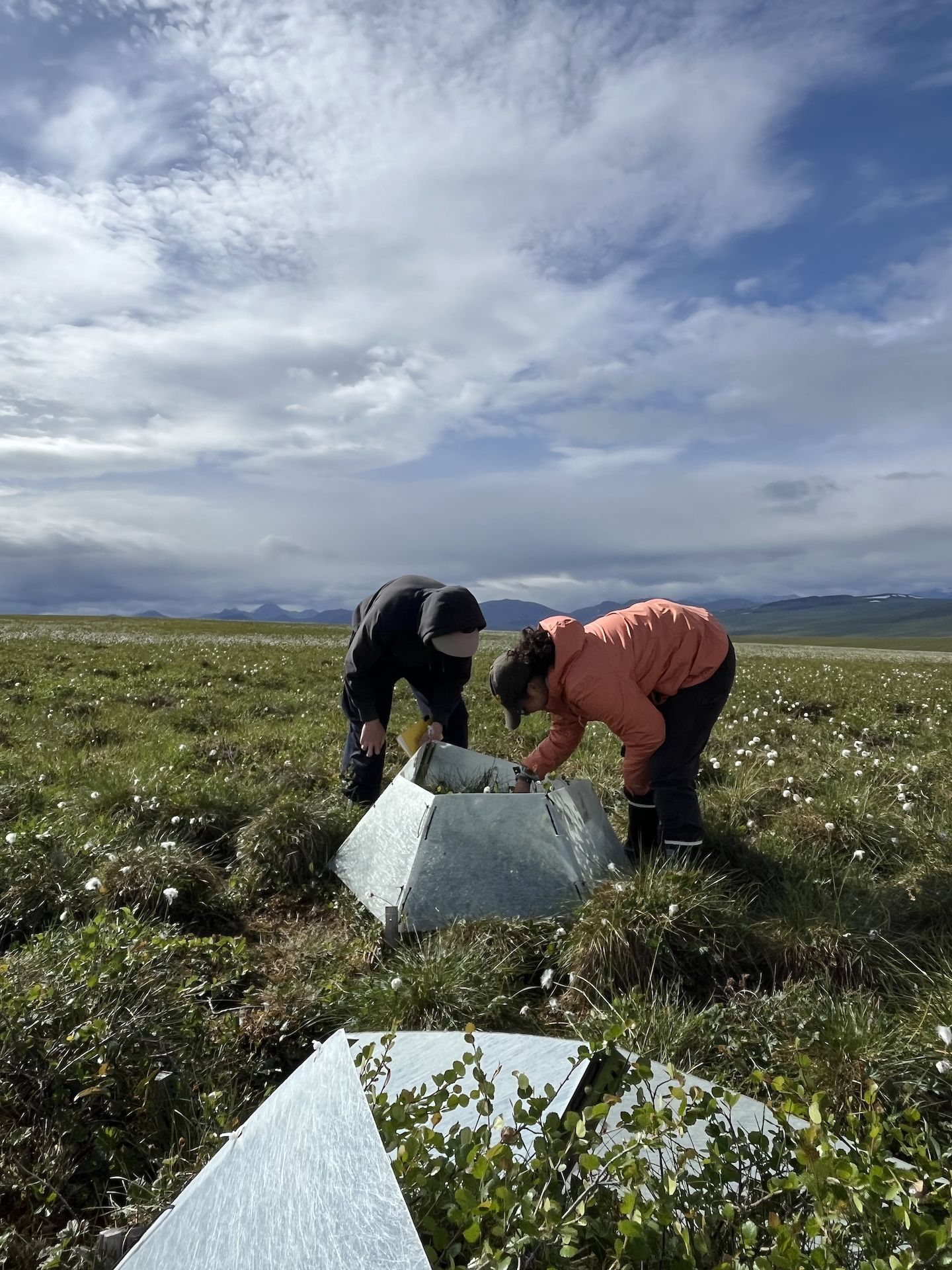 Jane Watson ’27 and Ian Hauver-Radloff ’26 monitoring phenology for floral density at their Imnavait moist sites in Summer 2025.