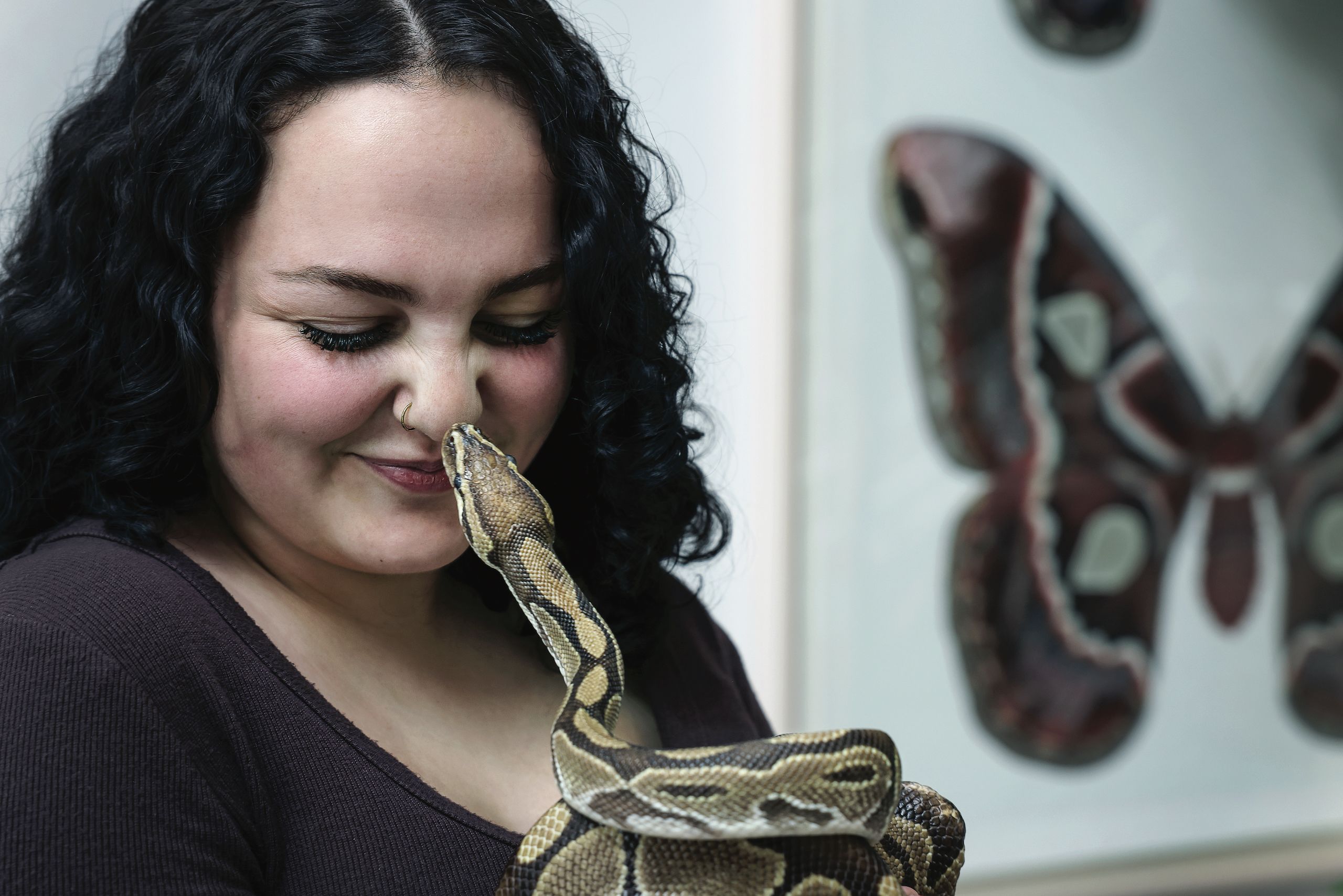 Ella Schuchard ’27, a organismal biology student on track to be a veterinarian, poses with Chuck, a ball python who’s been at CC for nearly two decades.
