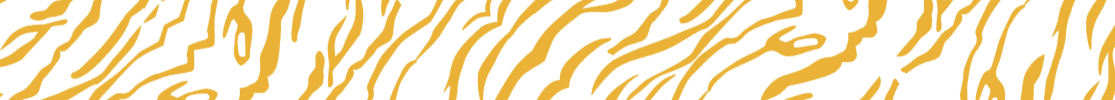 CC tiger gold stripes