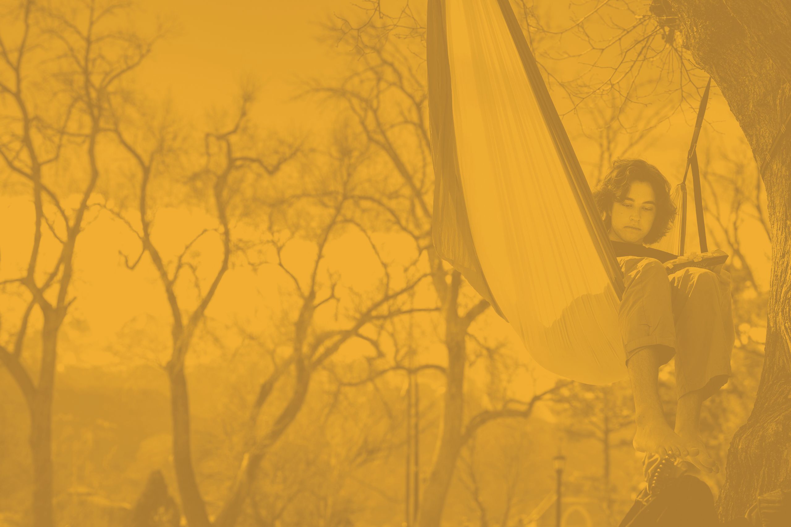 Student reading a book on a hammock outside on a CC quad