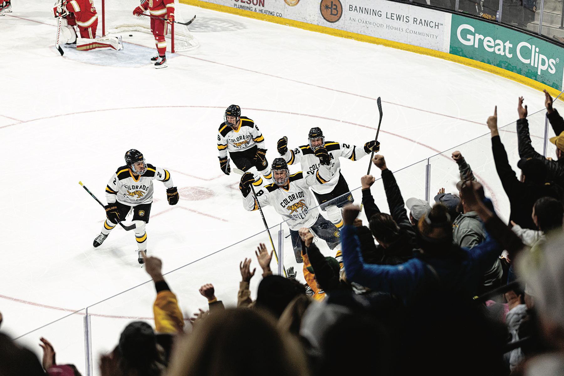 Colorado College Men's Hockey players celebrating a goal on the in Ed Robson Arena