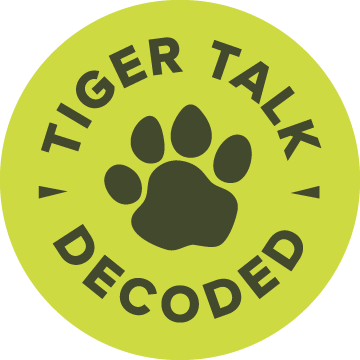 tiger talk decoded 